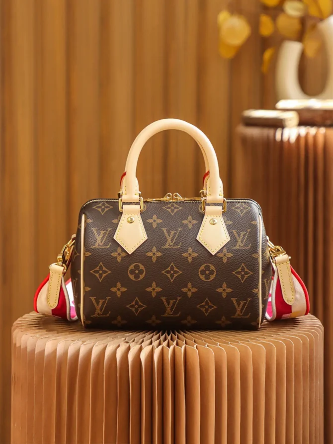 LV BAG - Image 8